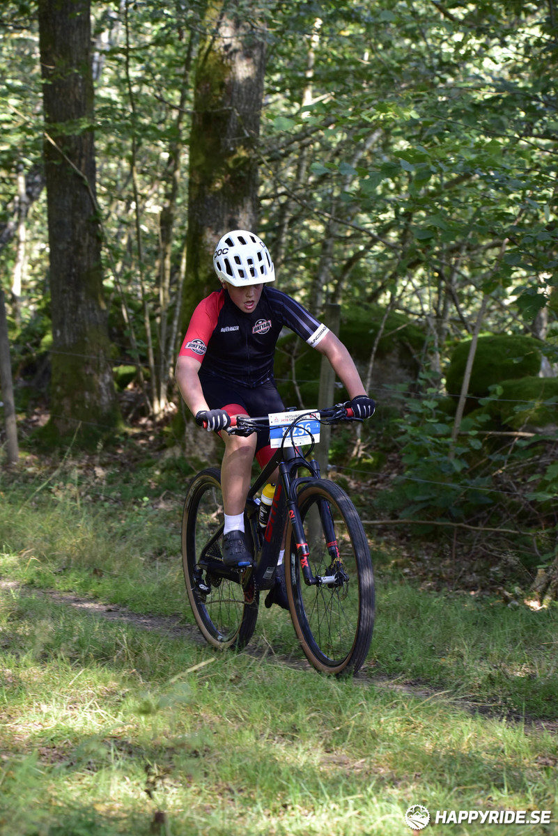 Bild från Bockstensturen 2019